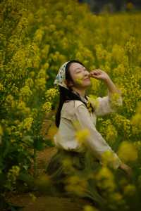 期待春天｜又要迎接成都金灿灿的油菜花了