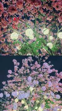 賞花聖地