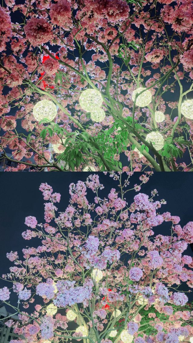 賞花聖地