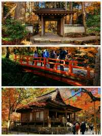 日本之旅·京都三千院、寶泉院、貴船…純玩一日遊攻略