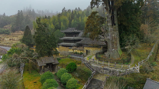 舊時光的對話_景寧_時思寺