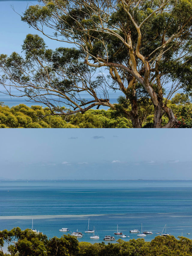 邂逅北斯特拉布魯克島：澳洲的海濱綺夢
