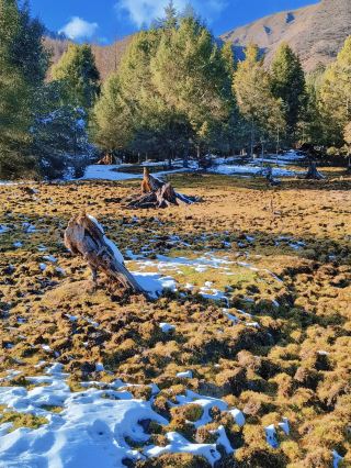A 2-Day Ya'an Adventure to Amaze Your Friends
