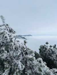 暢遊浙西「小雪山」——太子尖雪景