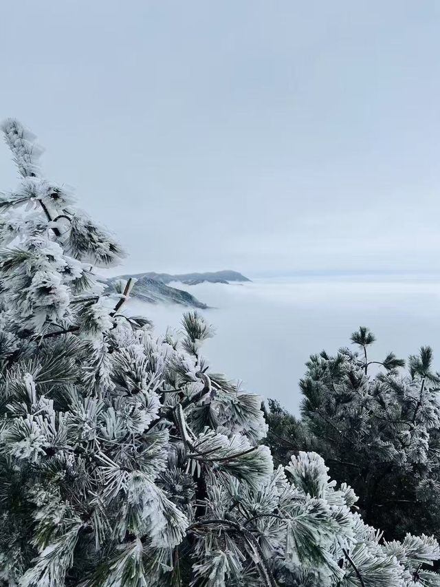 暢遊浙西「小雪山」——太子尖雪景