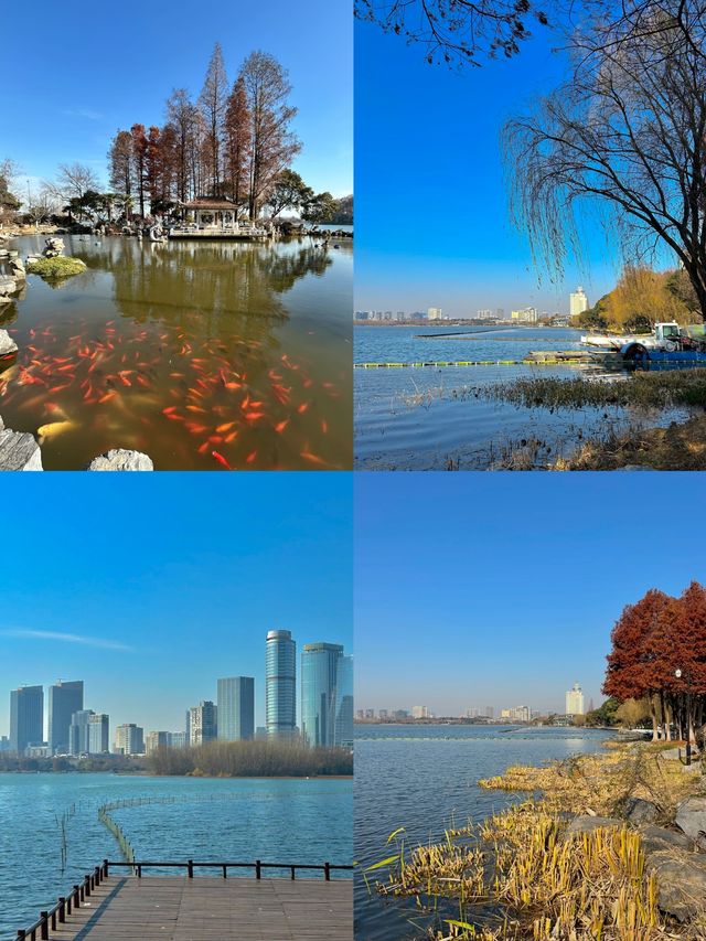 南京二月梅花香裏暴走攻略