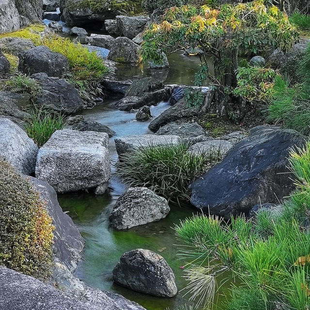 🌸闖入福岡大濠公園·日本庭園，邂逅和風雅韻