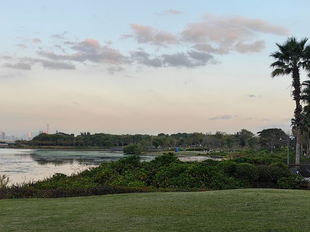 深圳人才公園的日落