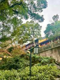 杭州-蘇州-烏鎮6日探秘 古鎮古韻一網打盡