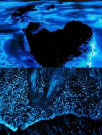 天津海邊藍眼淚,睇呢篇攻略就夠晒🫶🩷