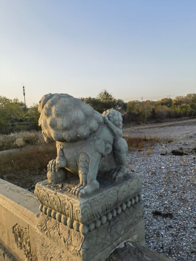 盧溝橋上501隻石獅的秘密，你知道幾多個？