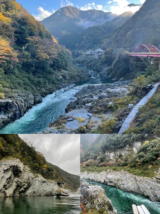 日本德島