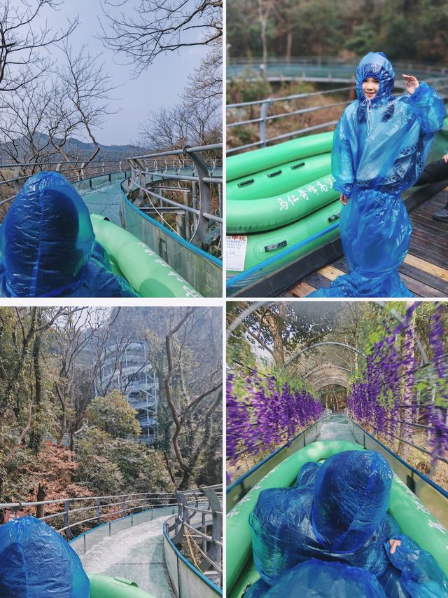 南京周邊上春山/我在大山崖壁上拍到了紫藤花海