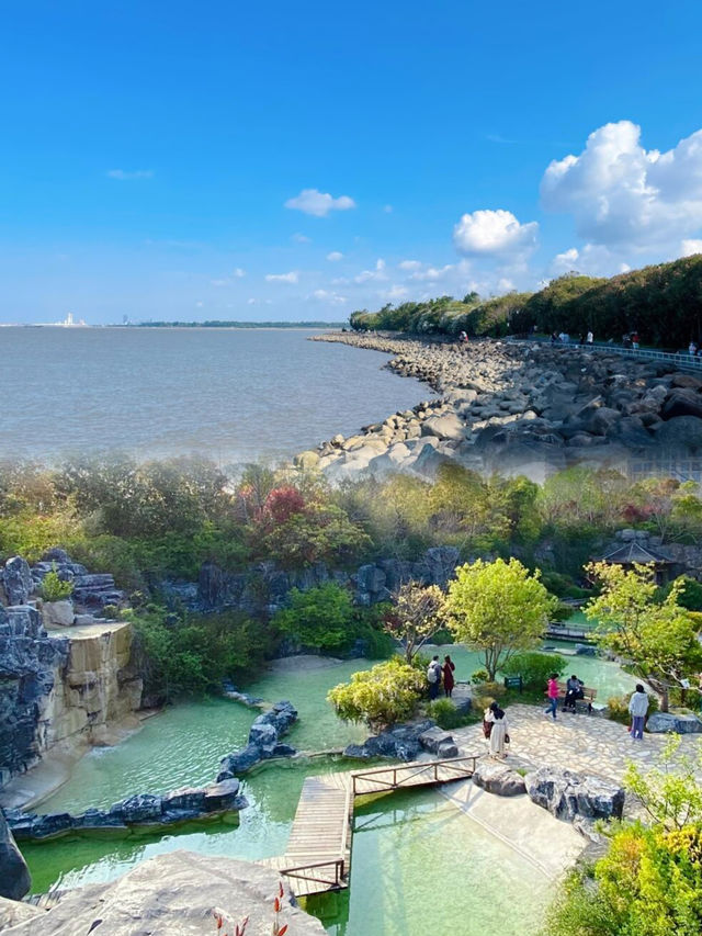 上海95%人不知道的寶藏公園捉蟹觀海
