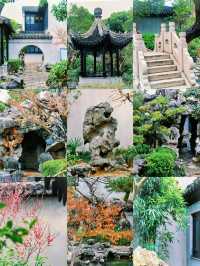 比起拙政園，我更喜歡這個極其小眾的寶藏園林