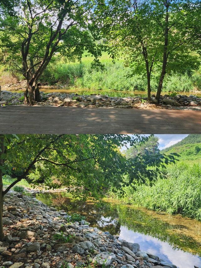 韓國洪川郡：小眾寶藏旅行地
