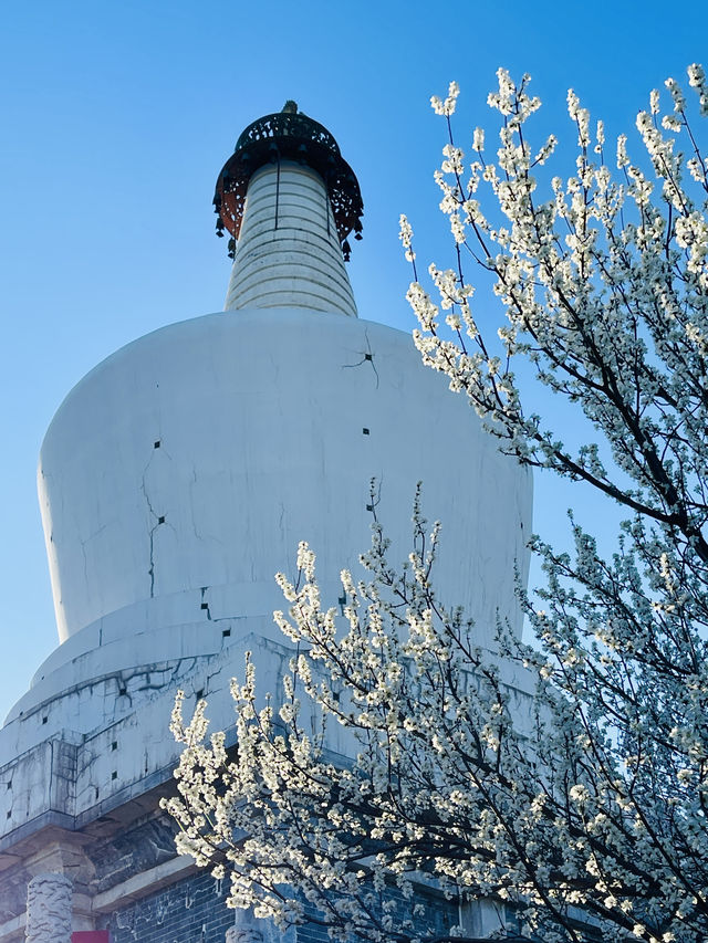 春日白塔 北海公園