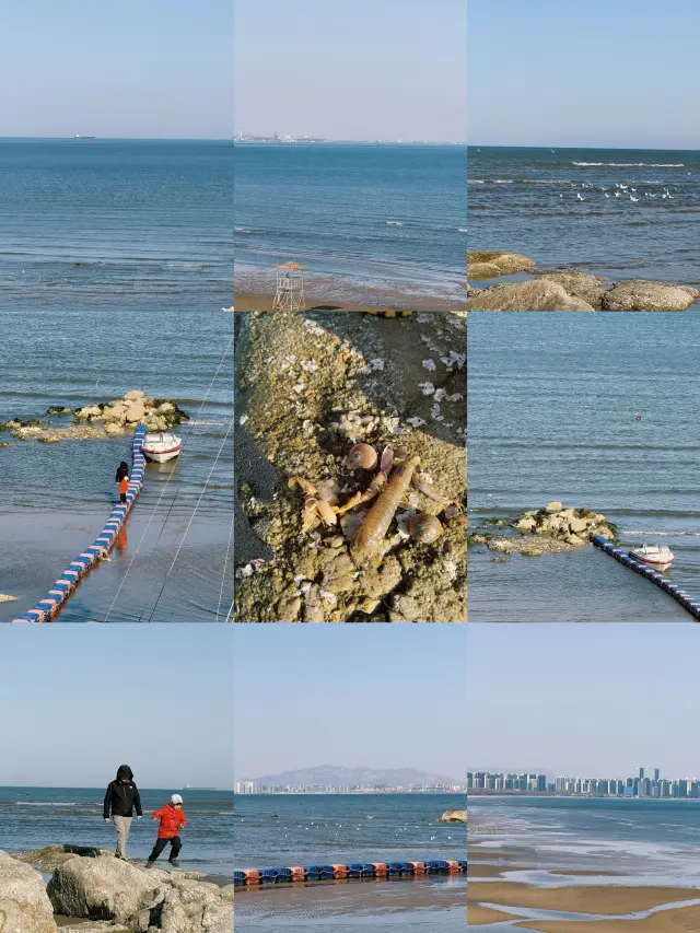 又是被大海治癒的一天～