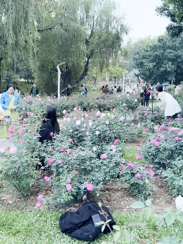 幫你哋踩過點！深圳人民公園最新實拍！