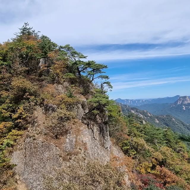 韓國聞慶市 鳥嶺山—攀登雲霧繚繞的韓劇仙境！