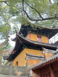 舟山2日遊｜輕鬆get熱門美景攻略