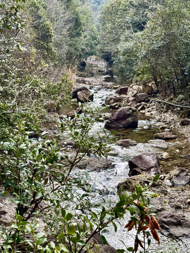 寧海 周末吸氧