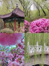 【4-7月，呼和浩特賞花全攻略】