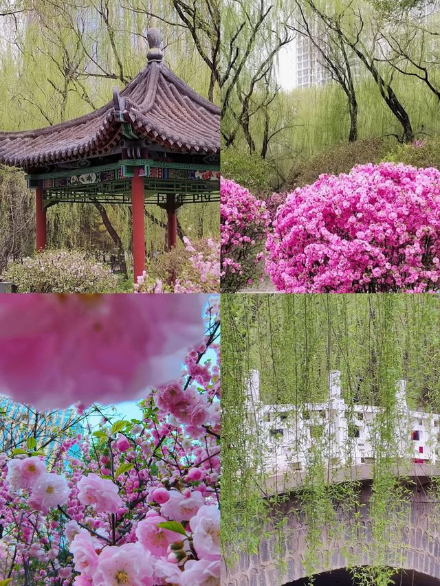 【4-7月，呼和浩特賞花全攻略】