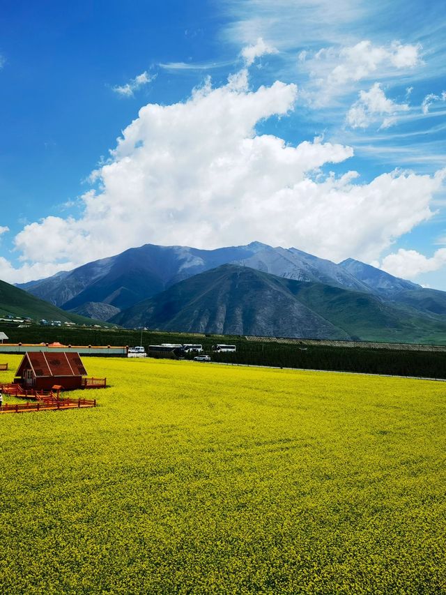 西寧等地4日遊 玩轉大西北的精華