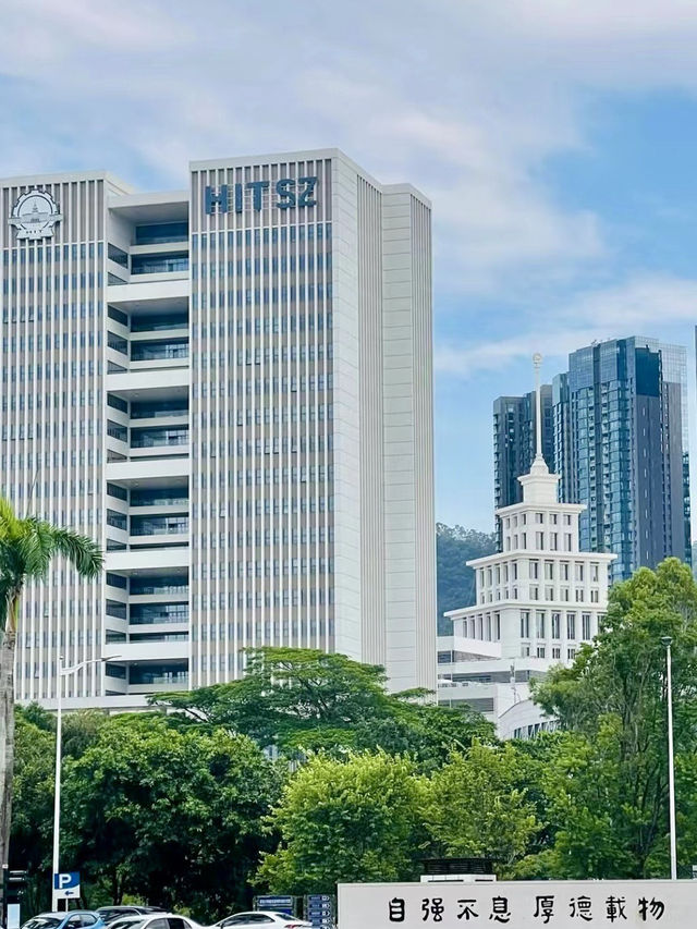 書香湖畔：漫步深圳大學城的詩意時光