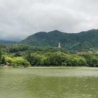深圳東部一日游，解鎖博物館、公園、植物園！