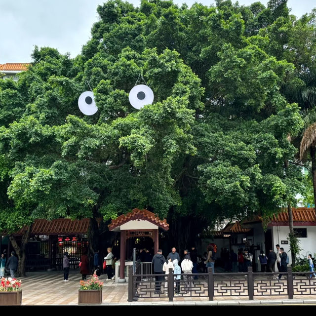 🌿【深圳仙湖植物園懶人攻略】✨