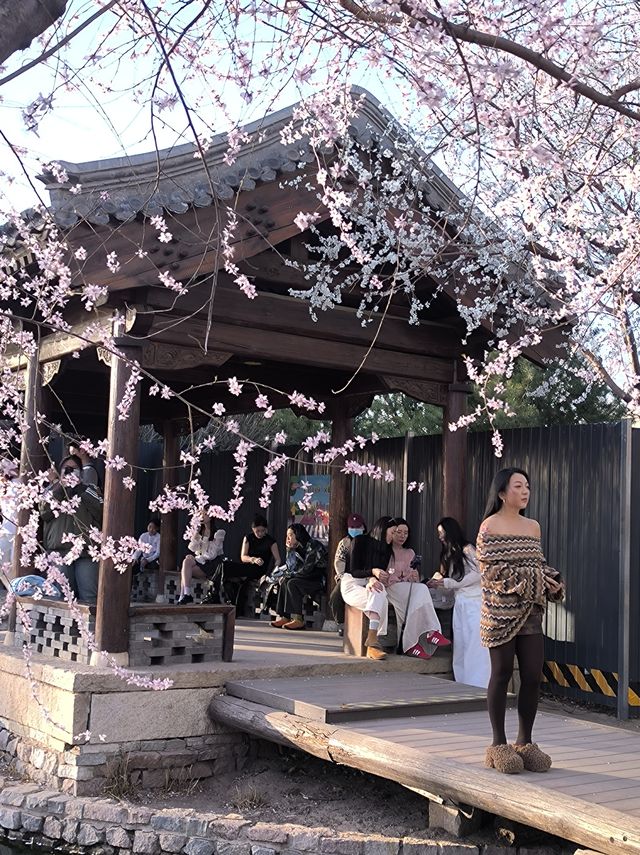 三里河公園！明年我一定會再來！