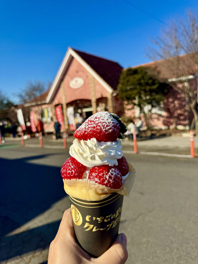 日本の魅力的なイチゴ狩り村