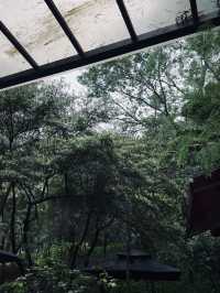 廣州｜陰雨天都啱去嘅精神避難所！
