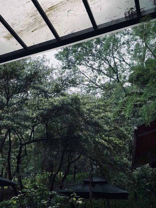廣州｜陰雨天都啱去嘅精神避難所！