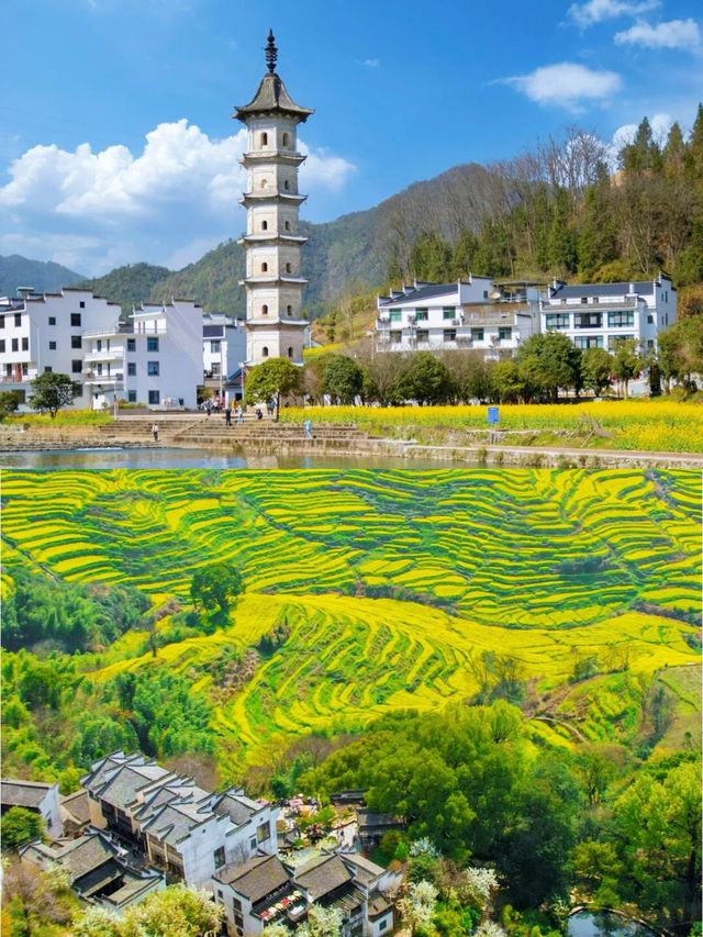 春日尋花指南 | 4月限定的浪漫，千萬別錯過