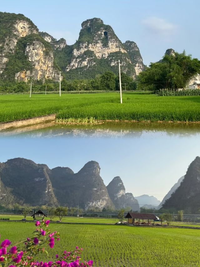 明仕田園——一起享受大自然的美