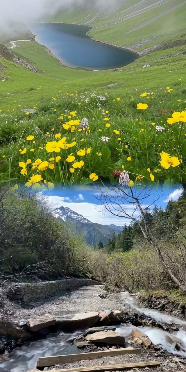 藏在川西的阿爾溝，今年夏天必須打卡！