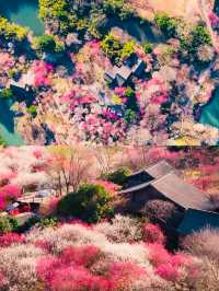 西溪濕地公園