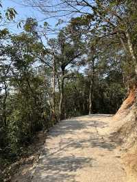 郴州莽山國家森林公園西門應該怎麼玩？