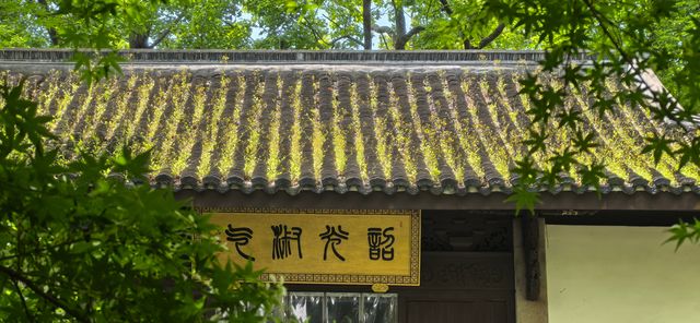 虎跑公園—隱於西湖畔嘅「天下第三泉」