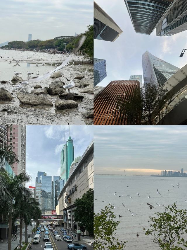 深圳旅遊攻略
