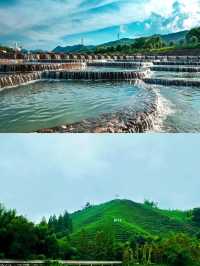 莫干山：竹海深處的隱逸之境