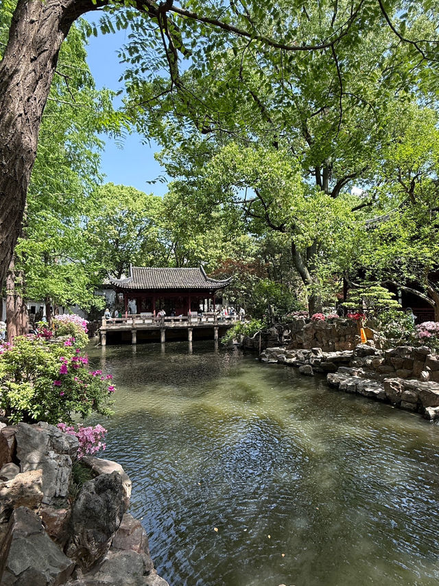 Shanghai – Where Tradition Meets the Future