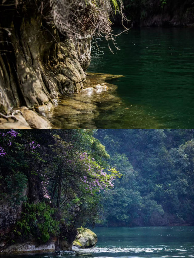 張家界的「人間瑤池」，每一幀都是山水畫