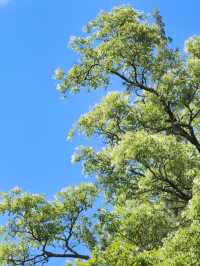 【雲南美景】喺桑嶺村感受大理嘅鄉土生活