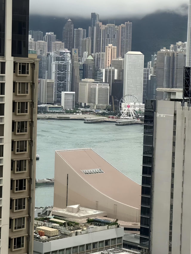 香港夢卓恩酒店：無海景卻有滿滿溫情
