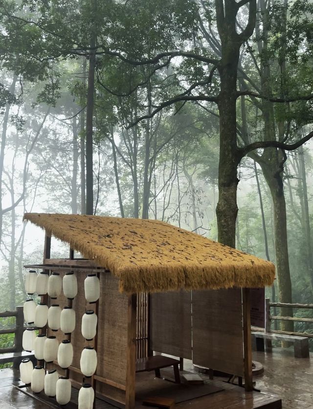# 峨眉山旅遊超強攻略,一篇就夠! # 峨眉山旅遊超強攻略,一篇就夠!