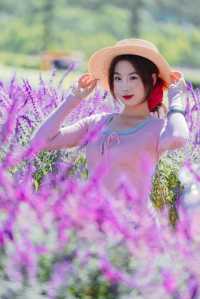 端午東風韻，花海全開